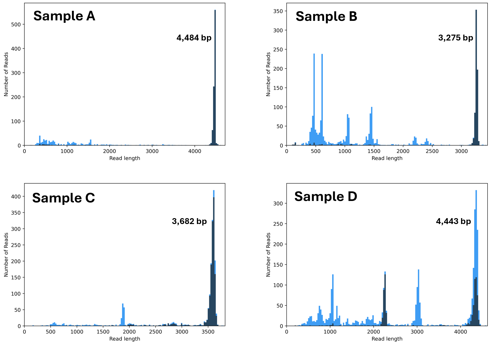 AAV Genome Sequencing