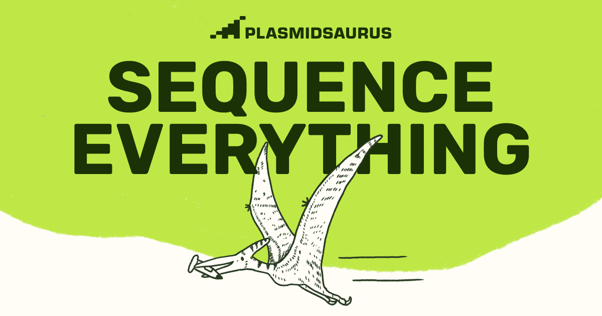 plasmid-sequencing