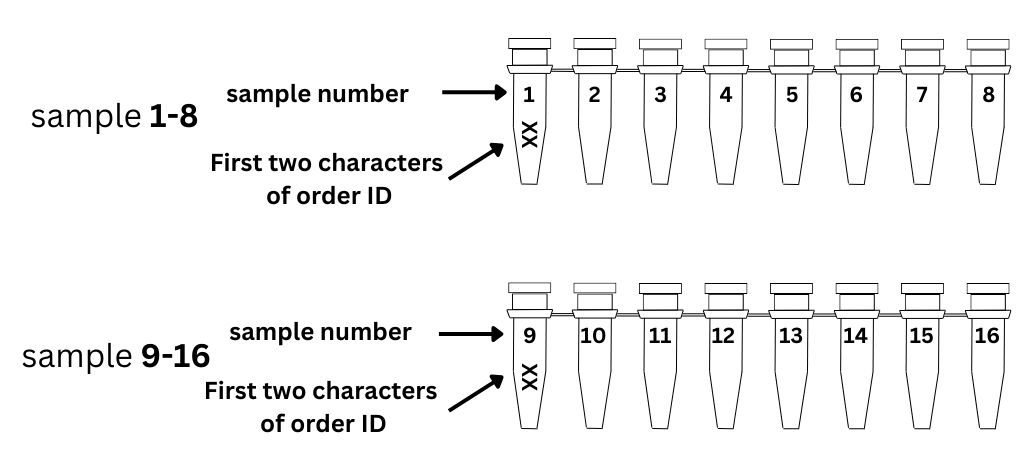 label demonstration