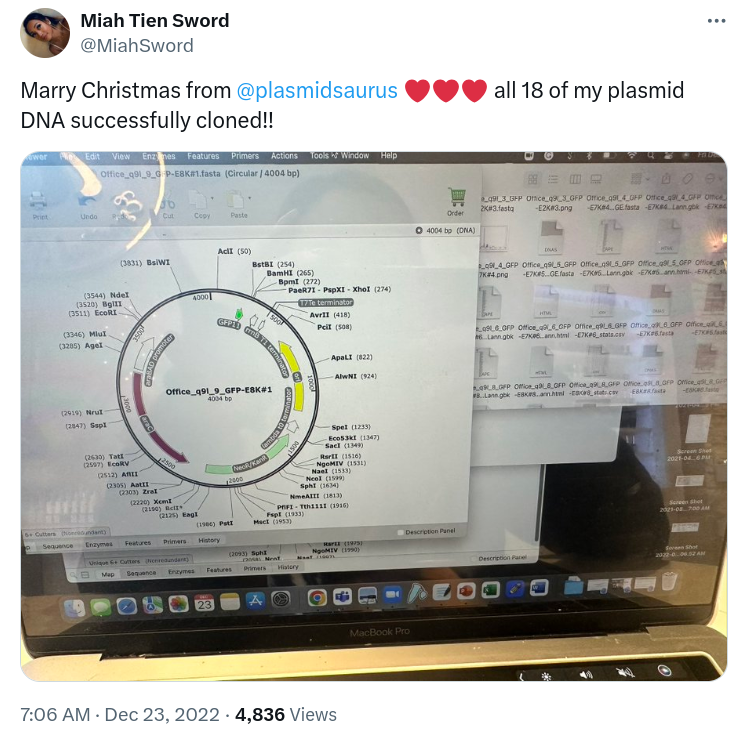 Marry Christmas from @plasmidsaurus ❤️❤️❤️ all 18 of my plasmid DNA successfully cloned!!