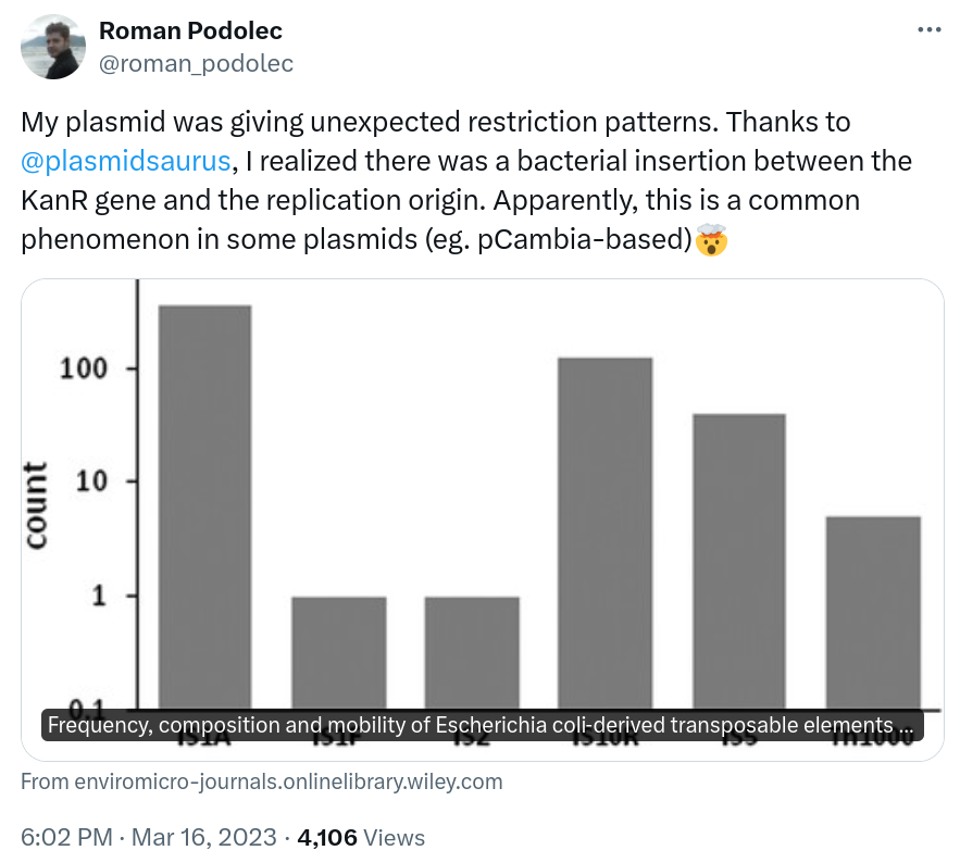 My plasmid was giving unexpected restriction patterns. Thanks to @plasmidsaurus, I realized there was a bacterial insertion between the KanR gene and the replication origin. Apparently, this is a common phenomenon in some plasmids (eg. pCambia-based)🤯